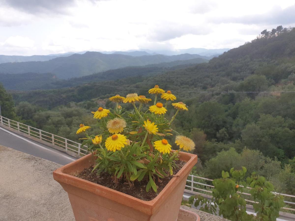 Bed & Breakfast Ca' Di Vissai Arnasco Dış mekan fotoğraf