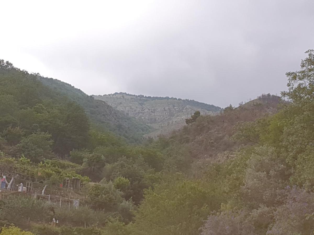 Bed & Breakfast Ca' Di Vissai Arnasco Dış mekan fotoğraf