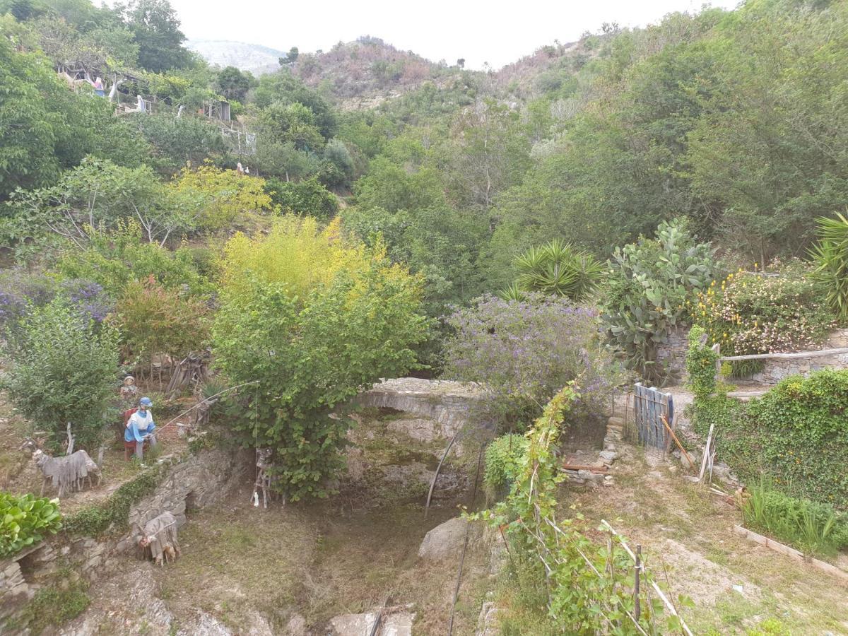 Bed & Breakfast Ca' Di Vissai Arnasco Dış mekan fotoğraf