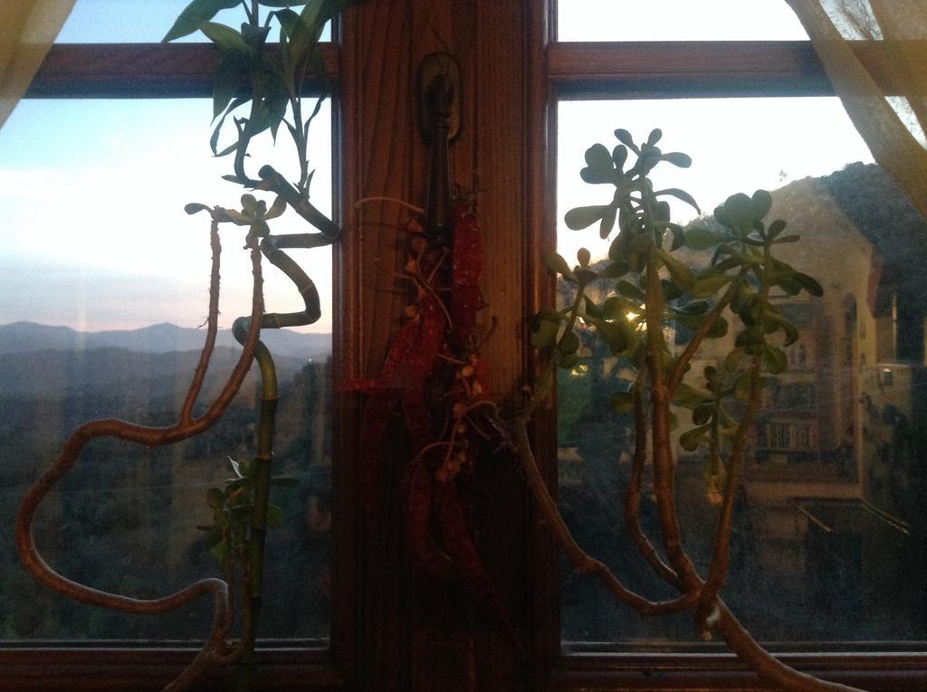 Bed & Breakfast Ca' Di Vissai Arnasco Dış mekan fotoğraf