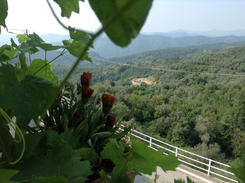 Bed & Breakfast Ca' Di Vissai Arnasco Dış mekan fotoğraf