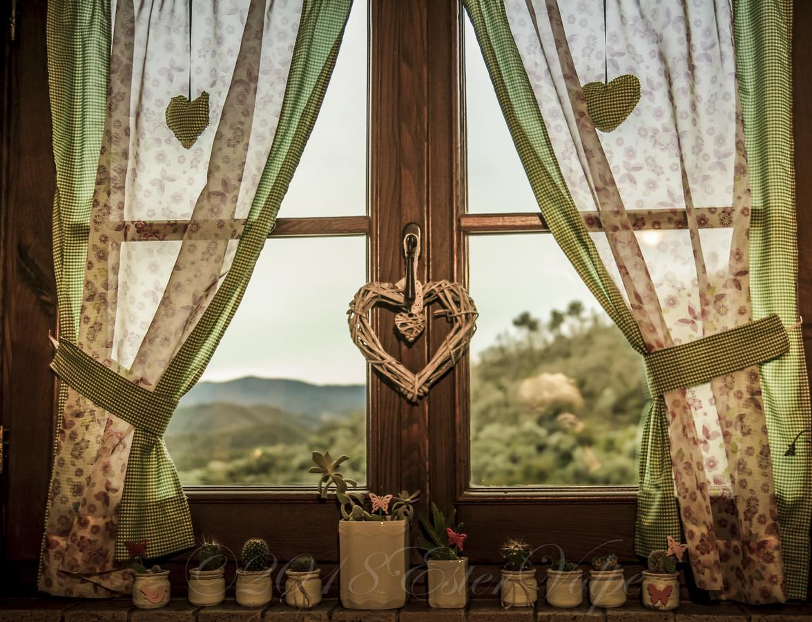 Bed & Breakfast Ca' Di Vissai Arnasco Dış mekan fotoğraf
