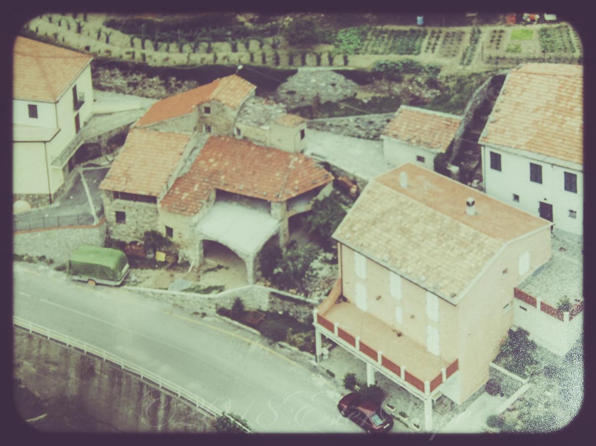 Bed & Breakfast Ca' Di Vissai Arnasco Dış mekan fotoğraf